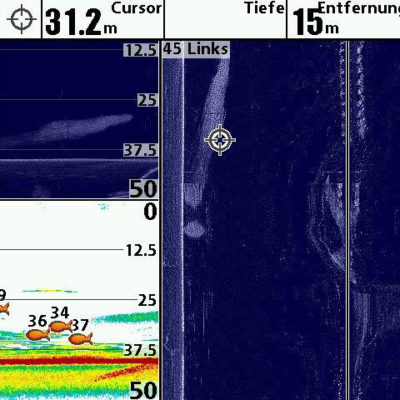 Warum benötige ich SideScan?