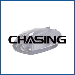 Chasing Dory