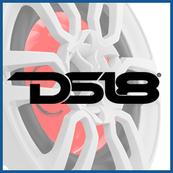 DS18 Subwoofer