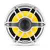 rf-xl (10).webp