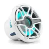 rf-xl (20).webp