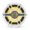 cf-xl (45).webp