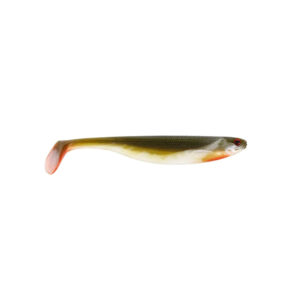 Shad.jpg