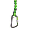 Carabiner - 1.jpg