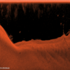 image-809x455 (1).png