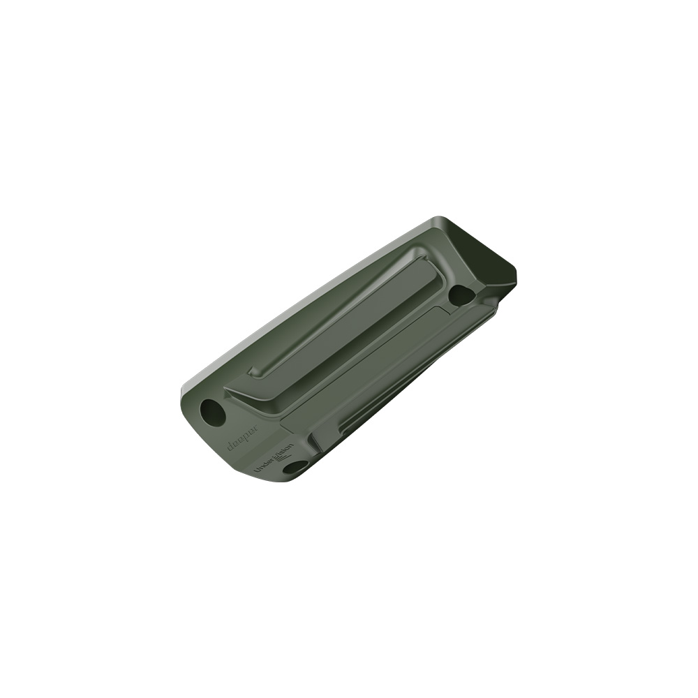 DS module.jpg